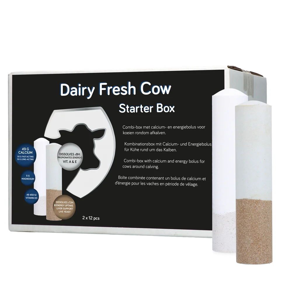 DAIR014.png Bolusset für Milchkühe mit Calcium und Energie, 2 x 12 Stück – Hofman Animal Care Dairy Fresh Cow Starter Box – Bild 1