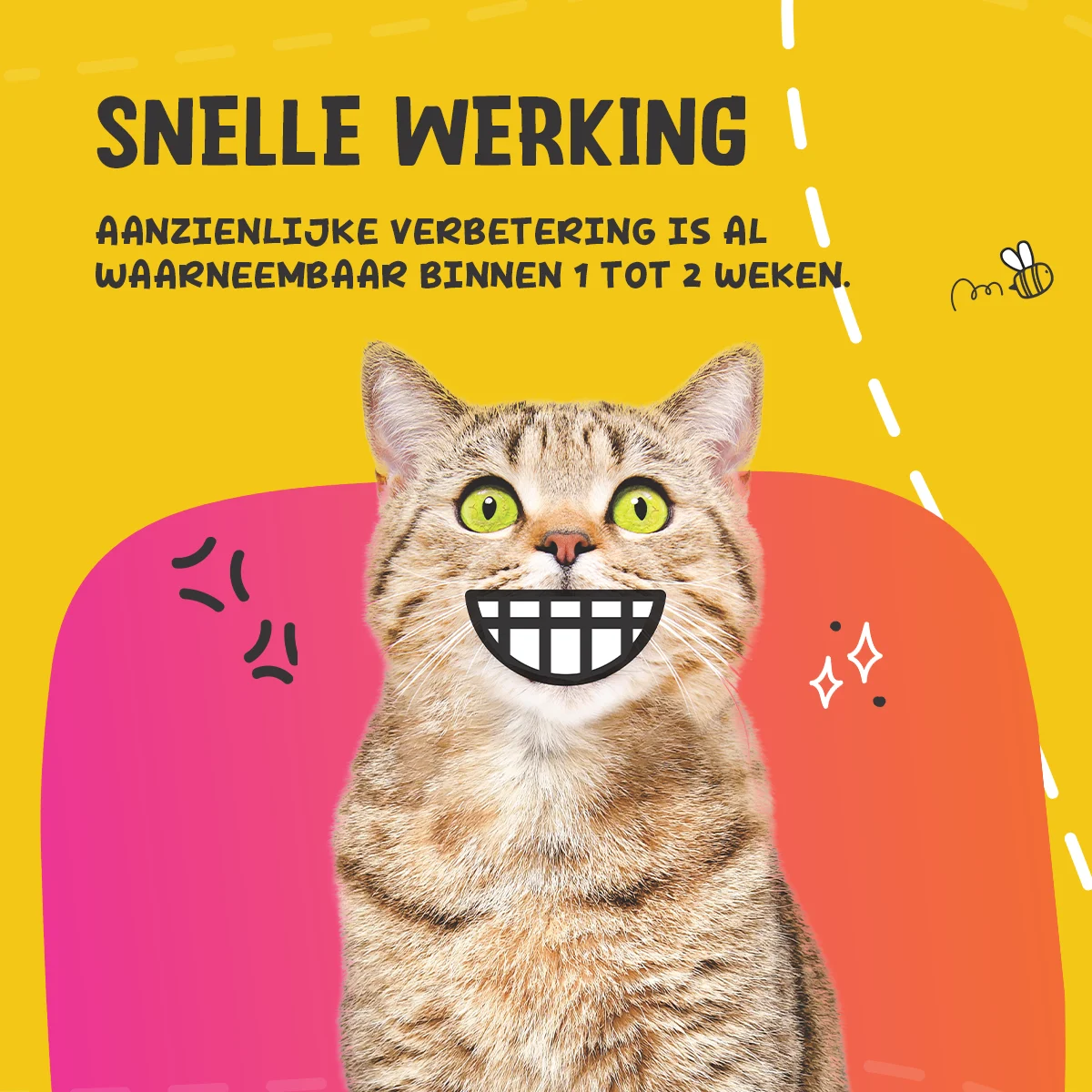 Zahnpulver für Hunde und Katzen, 140 g – Excellent Pets Dental Oral Care – Bild 5