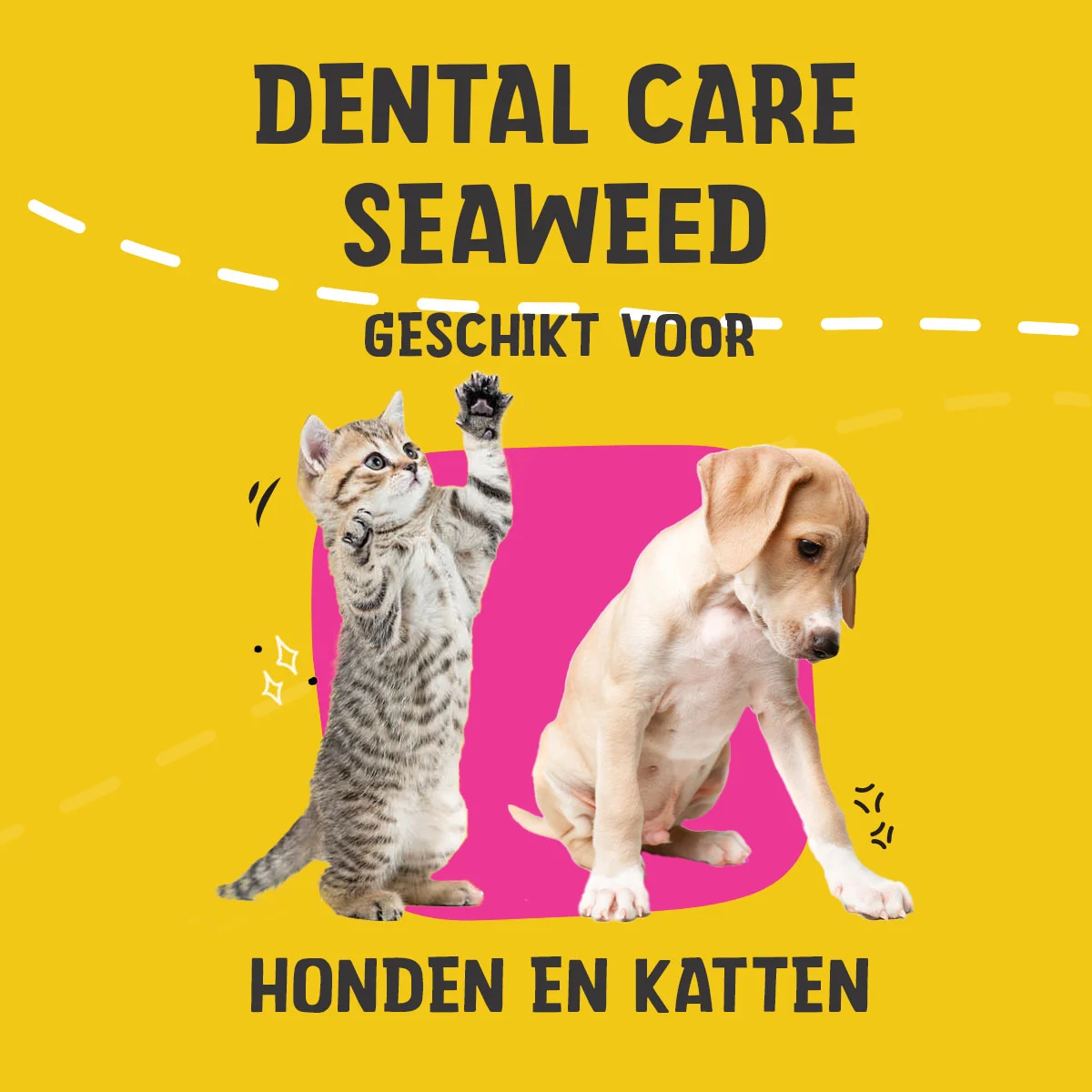 Zahnergänzungsfuttermittel für Hunde und Katzen, 150 g – Excellent Pets Dental Care Seaweed – Bild 2