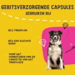 Zahnkapseln für Hunde, 90 Stück – Excellent Pets Dental Oral Care Capsules – Bild 4
