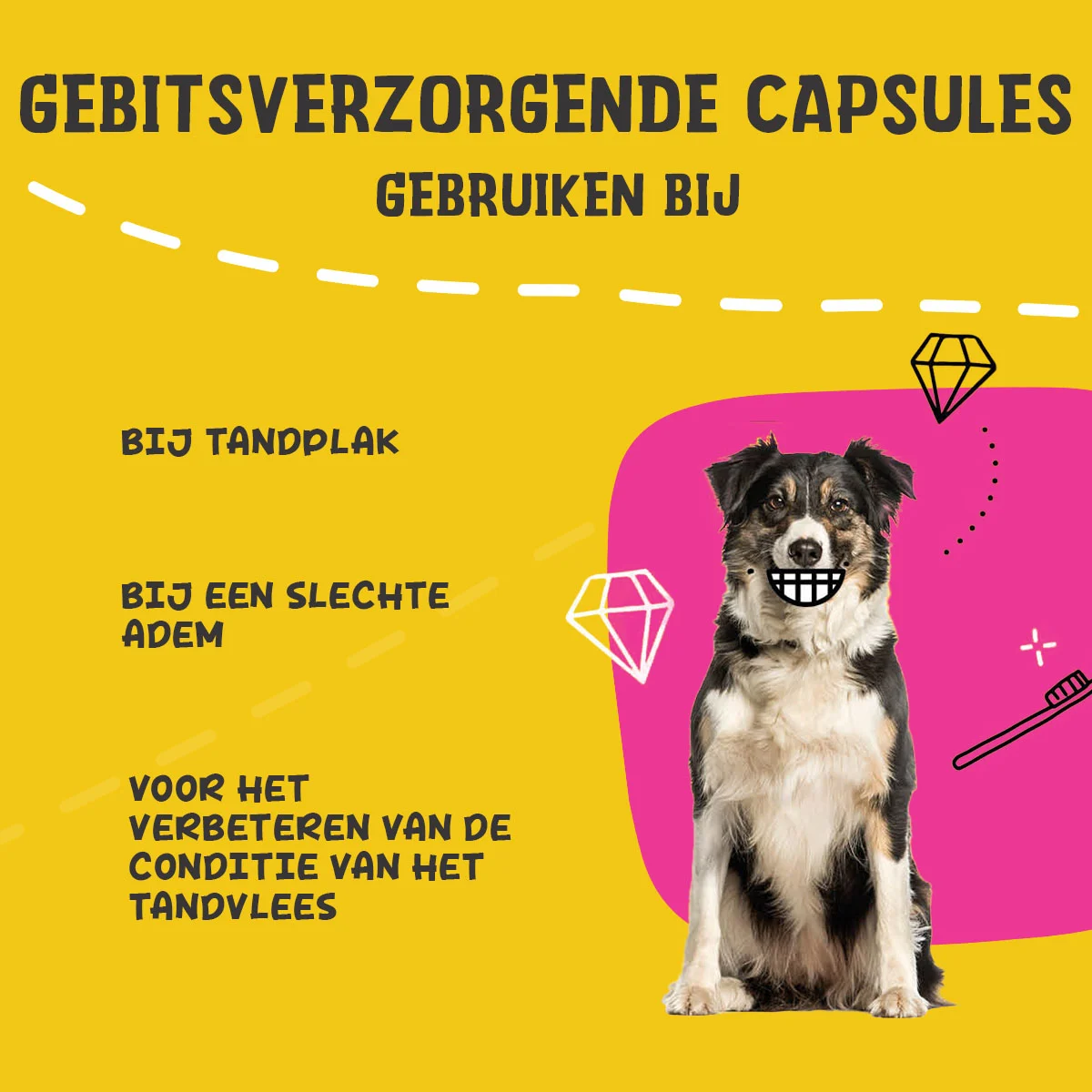 Zahnkapseln für Hunde, 90 Stück – Excellent Pets Dental Oral Care Capsules – Bild 4