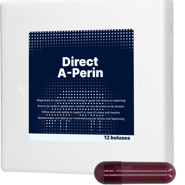 Rinderbolus mit Antioxidantien, 12 x 77 g – Direct Bolus A-Perin