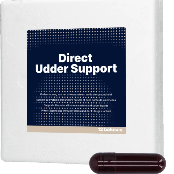 Euterbolus für Milchkühe mit schwarzem Knoblauch, 12 x 60 g – Direct Bolus Udder Support