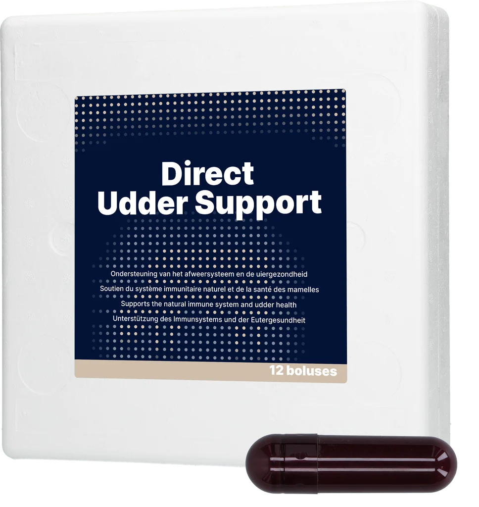 DIRE011.png Euterbolus für Milchkühe mit schwarzem Knoblauch, 12 x 60 g – Direct Bolus Udder Support – Bild 1