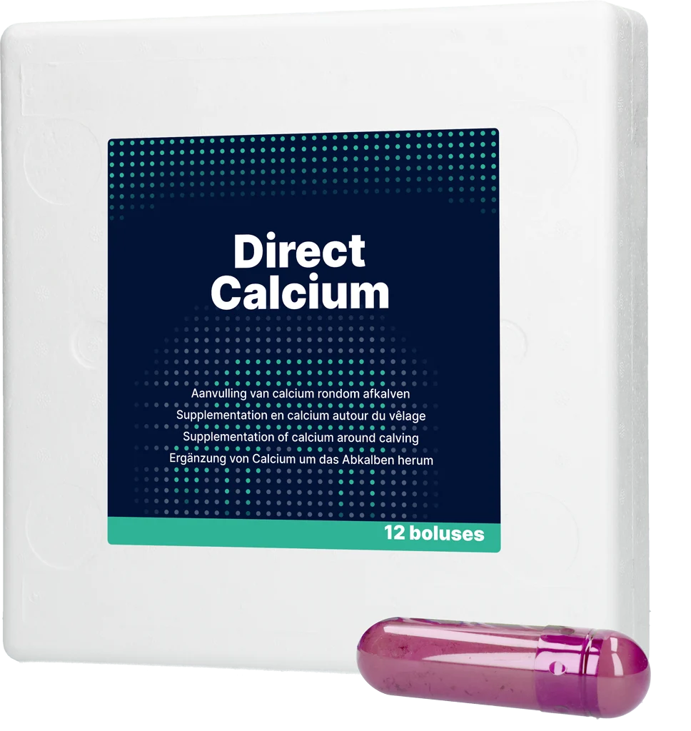 DIRE013.png Calciumbolus für Milchkühe, 12 x 94 g – Direct Bolus Calcium – Bild 1