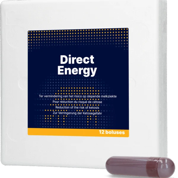 Energiebolus für Milchkühe mit Vitaminen und Mineralstoffen, 12 x 67 g – Direct Bolus Energy