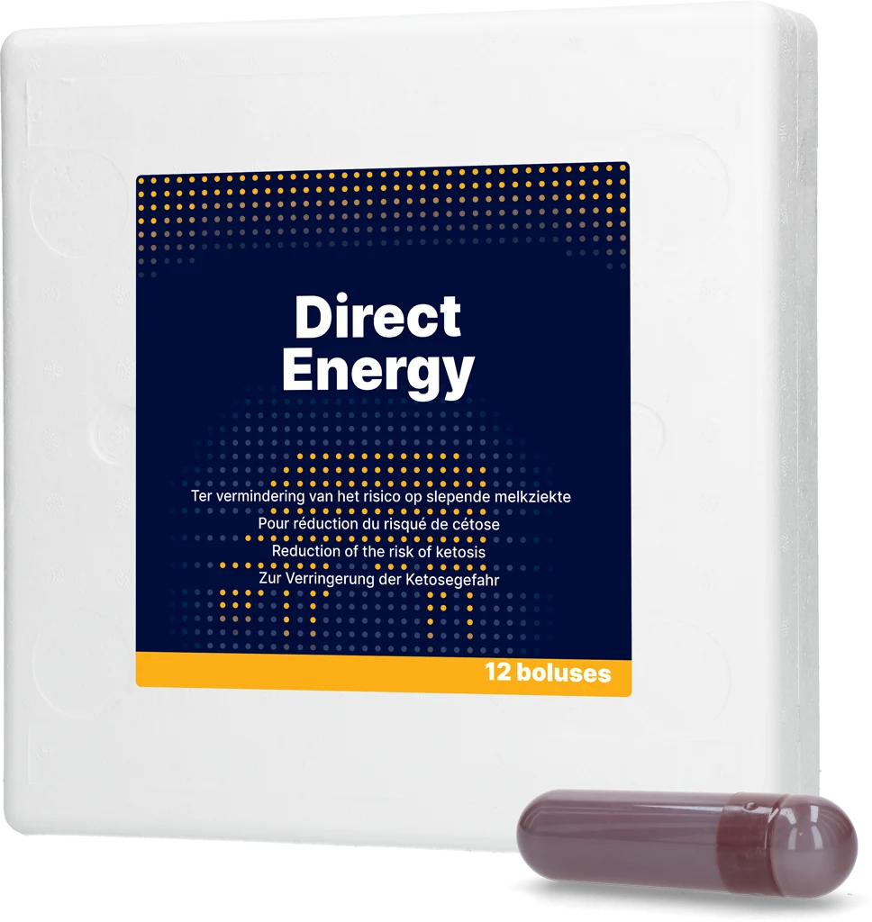 DIRE015.png Energiebolus für Milchkühe mit Vitaminen und Mineralstoffen, 12 x 67 g – Direct Bolus Energy – Bild 1