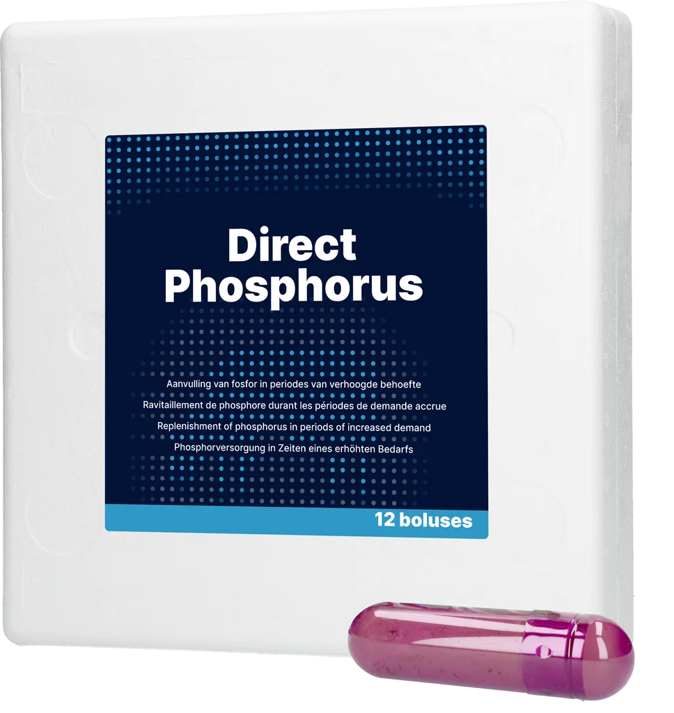 Phosphorbolus für Kühe, 12 x 123 g – Direct Bolus Phosphorus – Bild 1