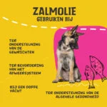 Lachsöl für Hunde mit Omega 3 und 6, 500 ml – Excellent Pets Dog Salmon Oil – Bild 6