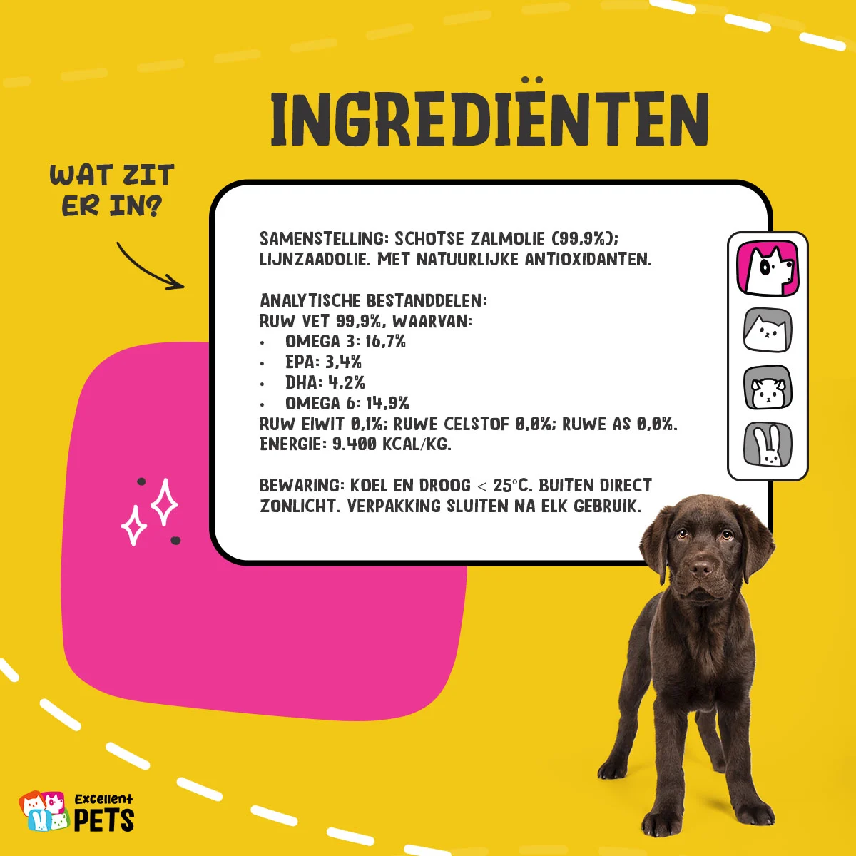 Lachsöl für Hunde mit Omega 3 und 6, 1000 ml – Excellent Pets Dog Salmon Oil – Bild 4