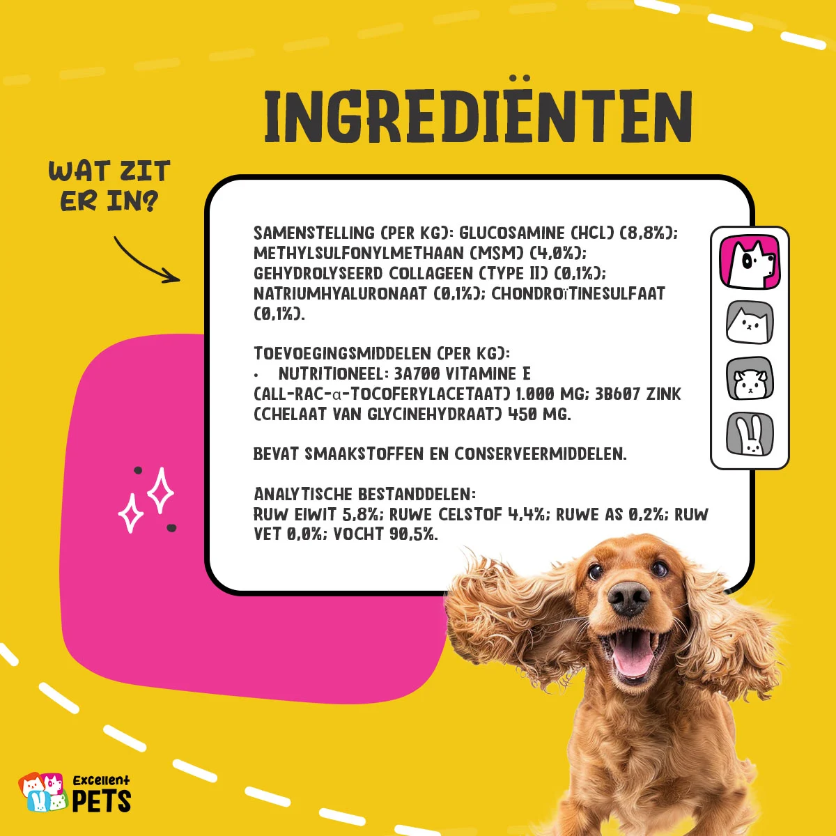 Gelenkergänzung für Hunde, flüssig, 250 ml – Excellent Pets Dog Flex – Bild 4