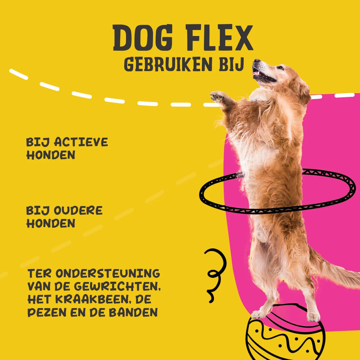 Gelenksupplement für Hunde, flüssig, 500 ml – Excellent Pets Dog Flex – Bild 6