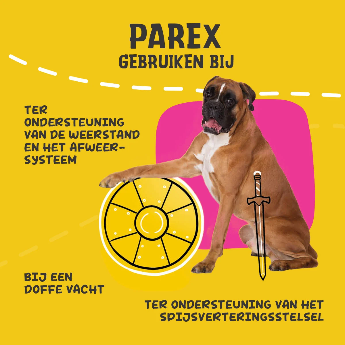 Hundesupplement mit Präbiotika in Pelletform, 180 g – Excellent Pets Dog Parex – Bild 6
