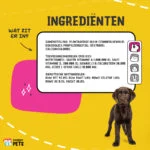 Flüssiges Vitaminpräparat für Hunde, 50 ml – Excellent Pets Vital Total – Bild 5