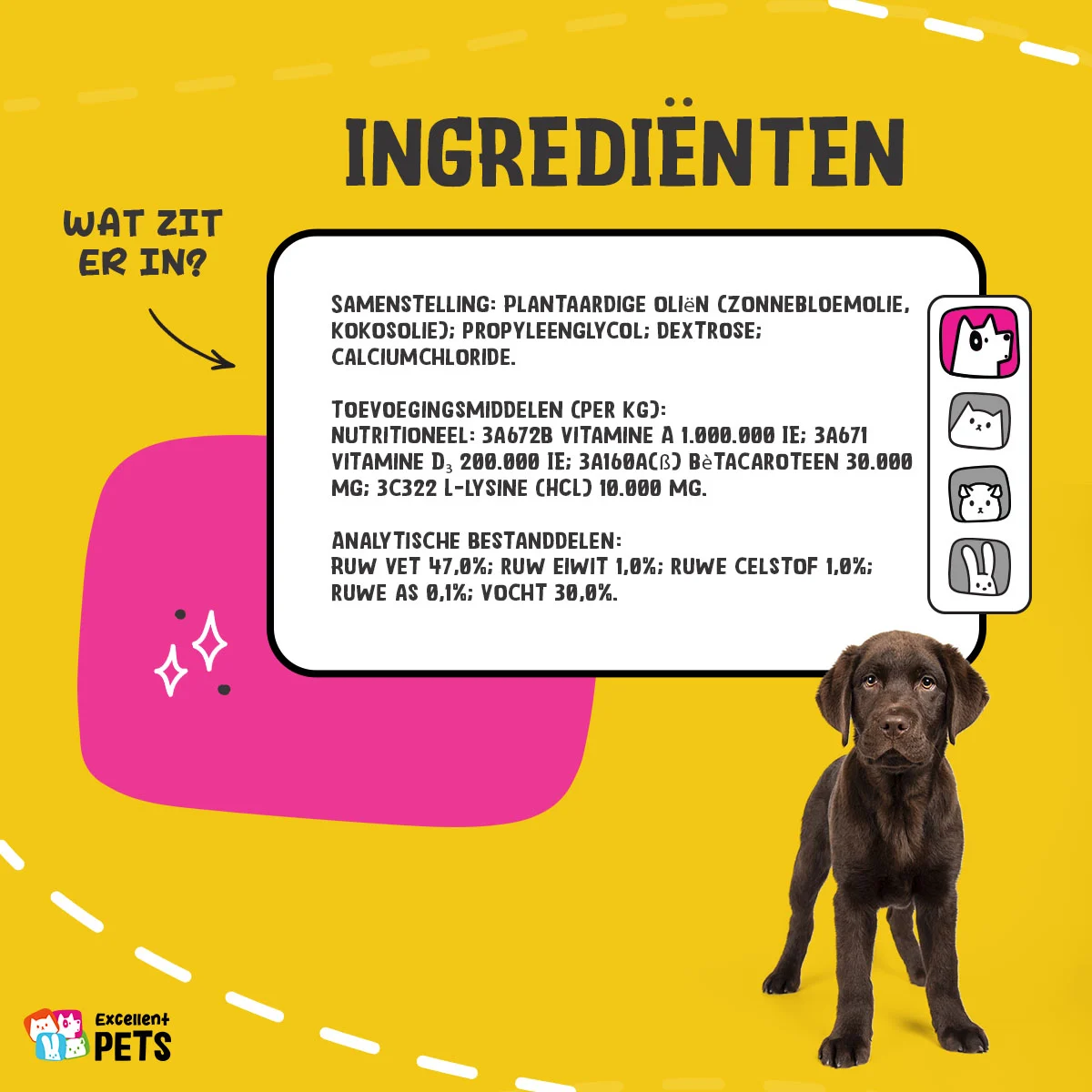 Flüssiges Vitaminpräparat für Hunde, 50 ml – Excellent Pets Vital Total – Bild 5