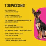 Flüssiges Vitaminpräparat für Hunde, 50 ml – Excellent Pets Vital Total – Bild 3