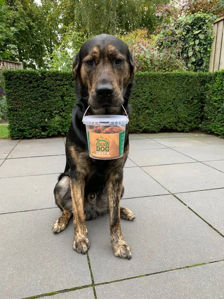 Hundesnack aus 100% ausgelassenem Pferdefett, ca. 350 g – Duo Dog Snack – Bild 2