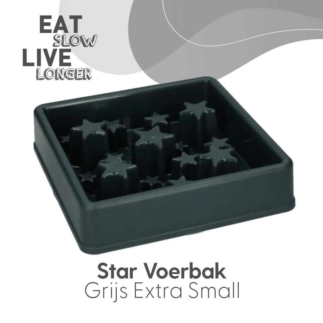 Anti Schling Napf für Hunde mit Sternenmuster, XS 14 cm, Grau – Eat Slow Live Longer Star – Bild 2