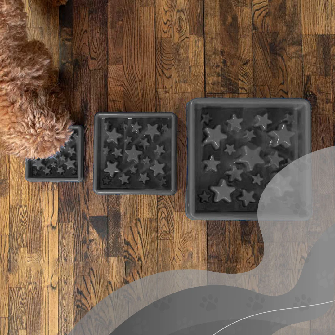 Anti Schling Napf für Hunde mit Sternenmuster, XS 14 cm, Grau – Eat Slow Live Longer Star – Bild 3