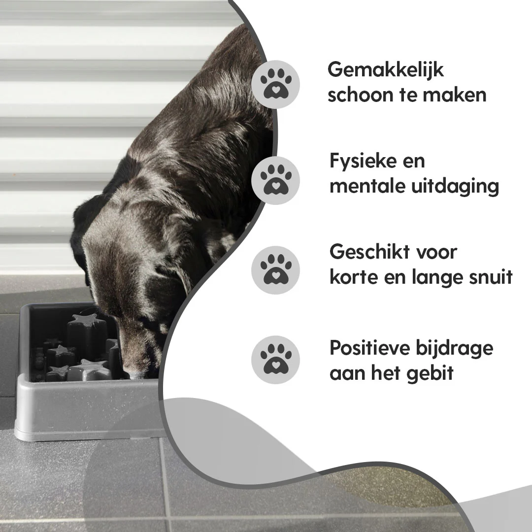 Anti Schling Napf für Hunde mit Sternenmuster, XS 14 cm, Grau – Eat Slow Live Longer Star – Bild 4