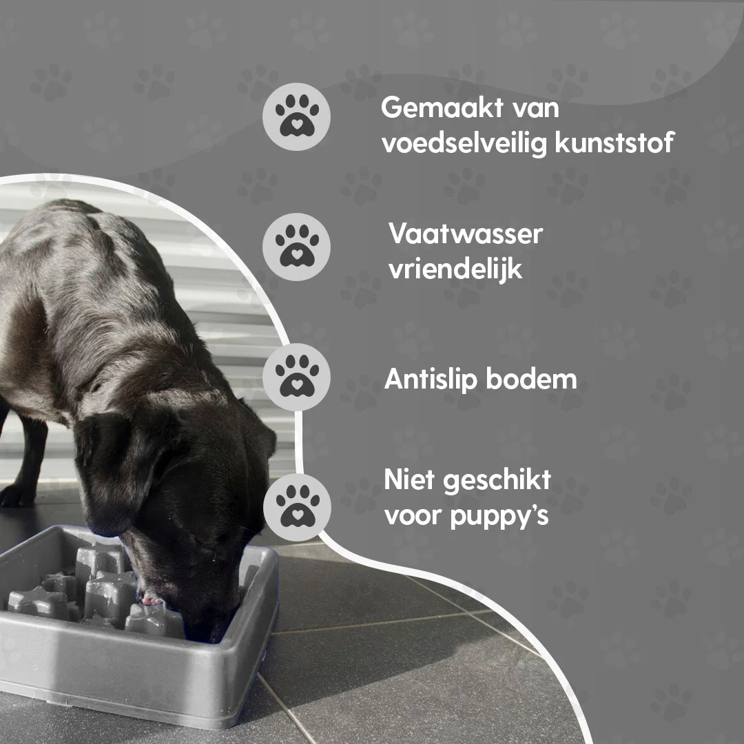 Anti Schling Napf für Hunde mit Sternenmuster, XS 14 cm, Grau – Eat Slow Live Longer Star – Bild 5