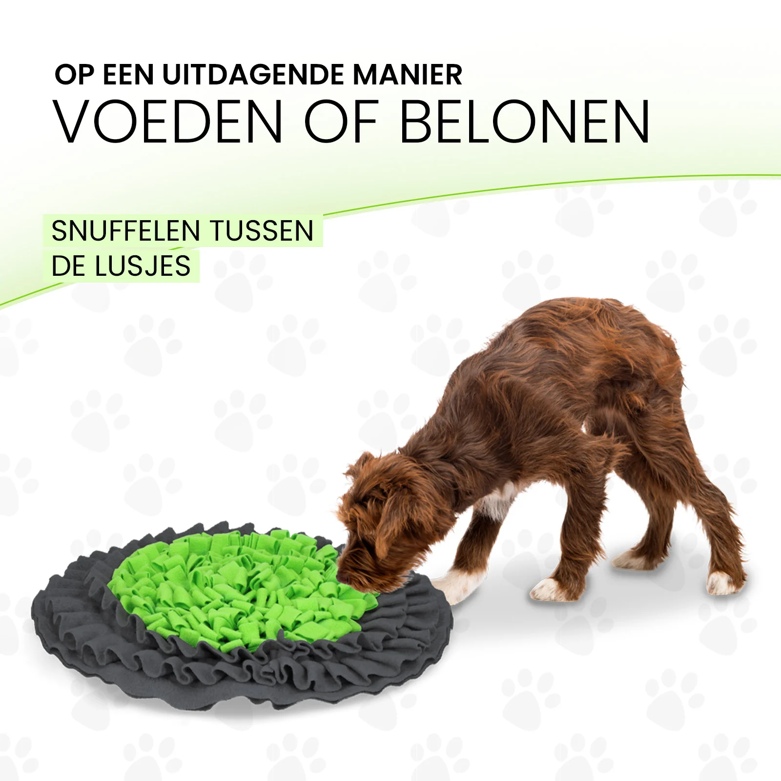 Schnüffelmatte mit Kordelzug Ø 50 cm – Eat Slow Live Longer Snuffle Mat – Bild 4