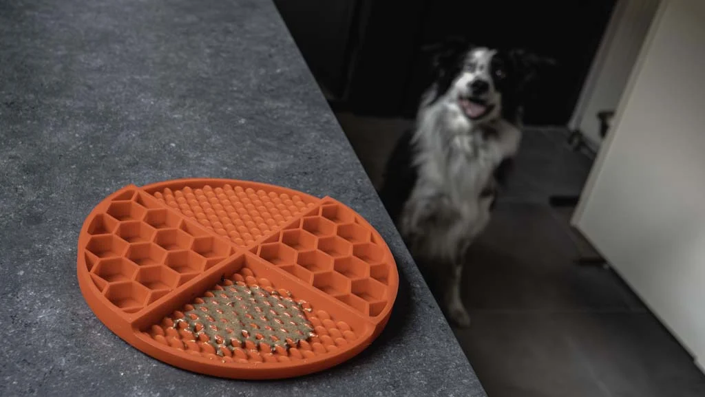 Runde Schleckmatte mit tiefen Vertiefungen, Rot, ø 21 cm – Eat Slow Live Longer Lick Mat Dimensions Circle – Bild 6