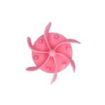 Anti Schling Einsatz für Hunde aus Silikon mit Saugnäpfen, M, Bodendurchmesser 11,5 cm, Rosa – Eat Slow Live Longer Gobble Stopper – Bild 3