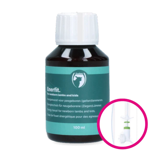 Energiesupplement für neugeborene Lämmer, 100 ml – Excellent Enerfit für Lämmer und Ziegenlämmer