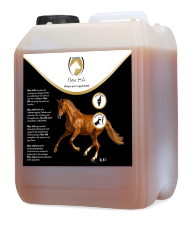 Gelenkergänzungsfutter für Pferde mit Glucosamin und MSM, 2,5 l – Excellent Horse Flex HA