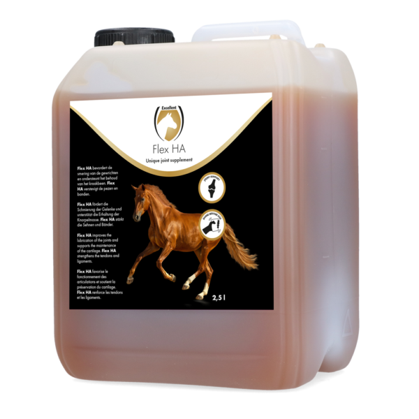 Gelenkergänzungsfutter für Pferde mit Glucosamin und MSM, 2,5 l – Excellent Horse Flex HA