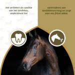 Zahnpflege Ergänzungsfuttermittel für Pferde mit getrocknetem Gemüse und Kräutern, 1 kg – Excellent Horse Dental Care – Bild 3