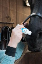 Geruchsneutralisierender Schwamm für Pferde mit ätherischen Ölen, 75 ml – Excellent Horse Odour Spons-On – Bild 4
