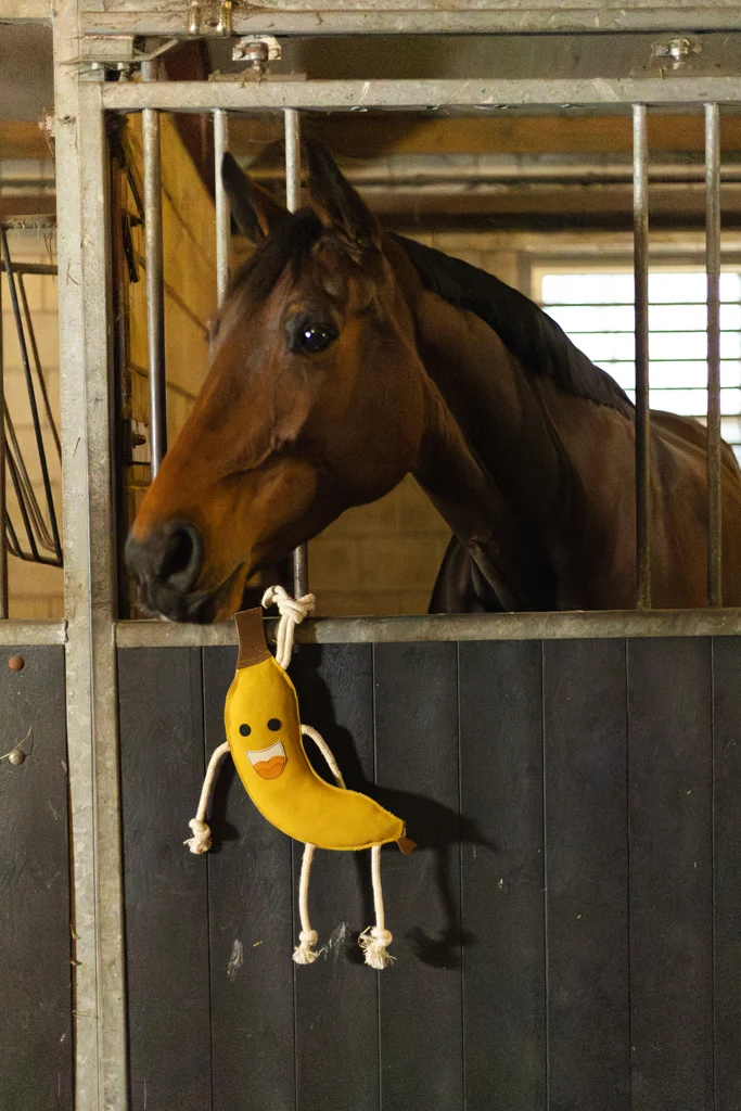 Stallspielzeug für Pferde aus Leder mit Jutefüllung, Banane, 40 x 12 x 5 cm – Excellent Horse Foodie Friends Banana – Bild 3