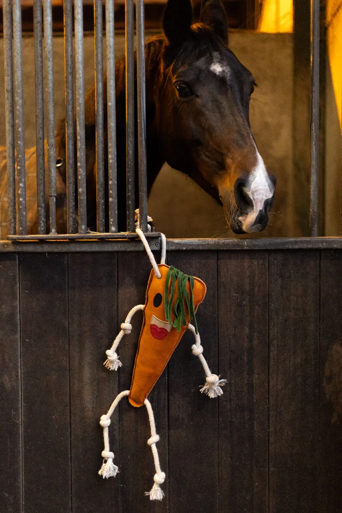 Stallspielzeug für Pferde aus Leder mit Jutefüllung, Möhre, 40 x 16 x 5 cm – Excellent Horse Foodie Friends Carrot – Bild 3