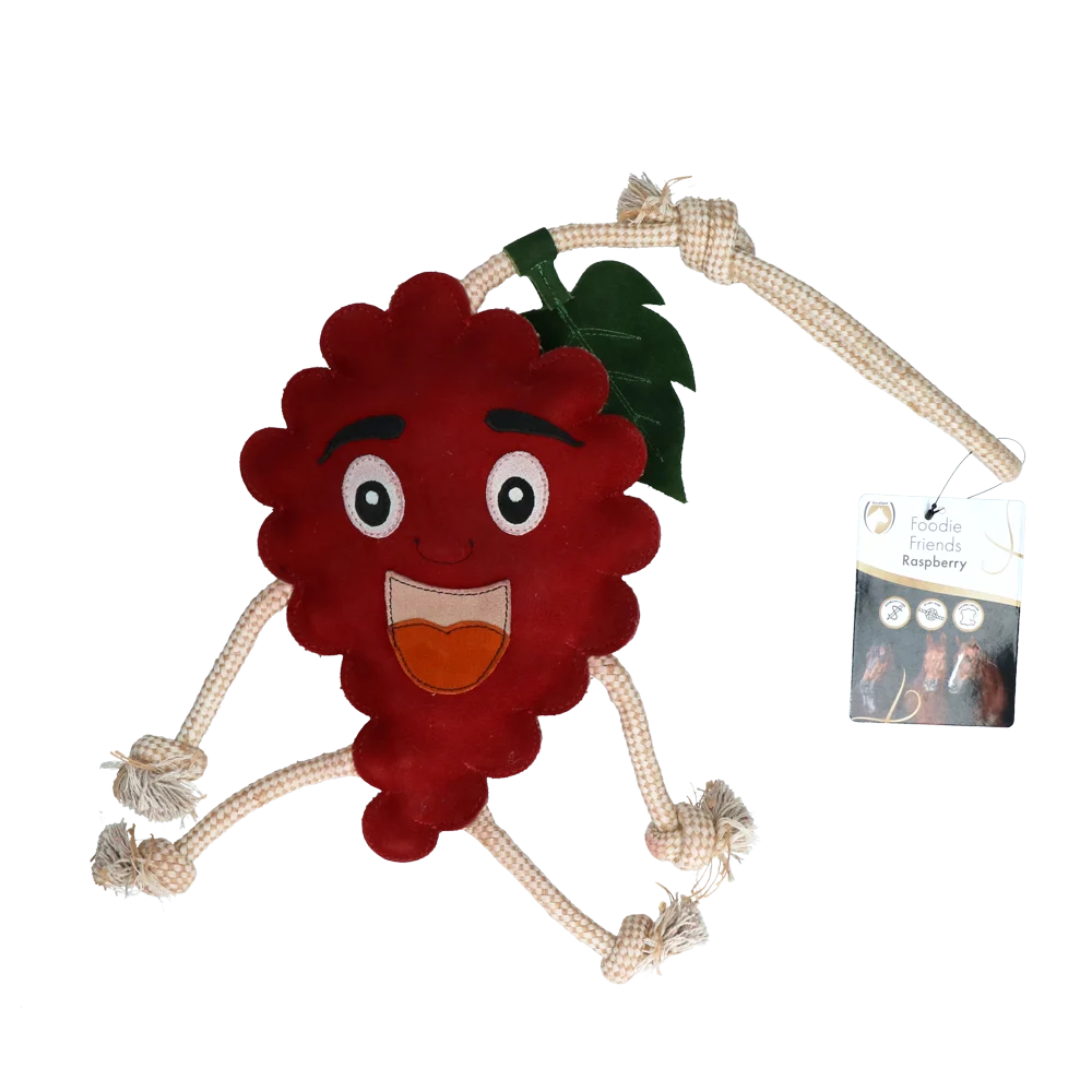 Pferdespielzeug in Himbeerform mit Jutefüllung, 29 x 20 x 5 cm – Excellent Horse Foodie Friends Raspberry – Bild 1