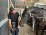 Pferdekekse mit Apfel, 500 g – Excellent Horse Ambachtelijke Paardenkoekjes Appel – Bild 4