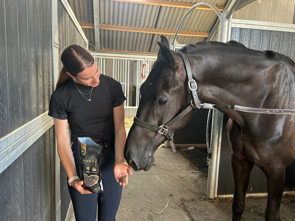 Pferdekekse mit Apfel, 500 g – Excellent Horse Ambachtelijke Paardenkoekjes Appel – Bild 4