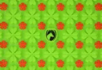 Silikon Schnüffelmatte für Pferde, 50 x 50 cm – Excellent Horse Snuffle Mat – Bild 5
