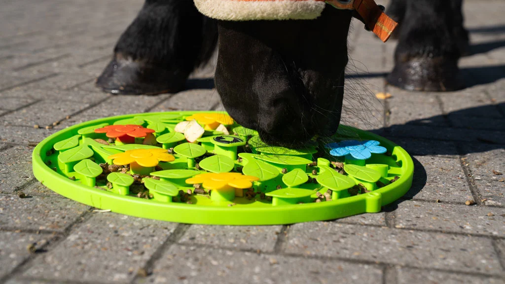Schnüffelmatte für Pferde für Futter und Snacks – Excellent Horse Snuffle Mat Flower Power – Bild 4