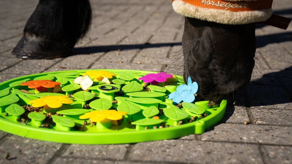 Schnüffelmatte für Pferde für Futter und Snacks – Excellent Horse Snuffle Mat Flower Power – Bild 3