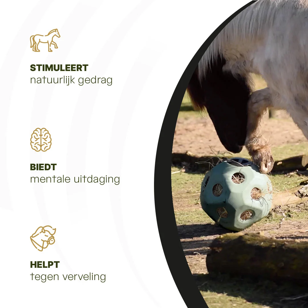 Futterball für Pferde mit Futteröffnungen, Grün – Excellent Horse Feed & Play Ball – Bild 6