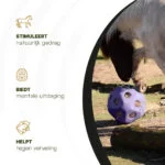 Futterball für Pferde mit Futteröffnungen, Lila – Excellent Horse Feed & Play Ball – Bild 6