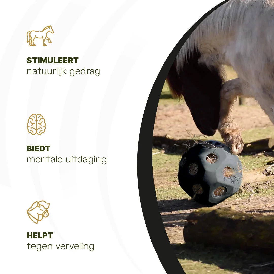 Futterball für Pferde mit Futteröffnungen, Schwarz – Excellent Horse Feed & Play Ball – Bild 6
