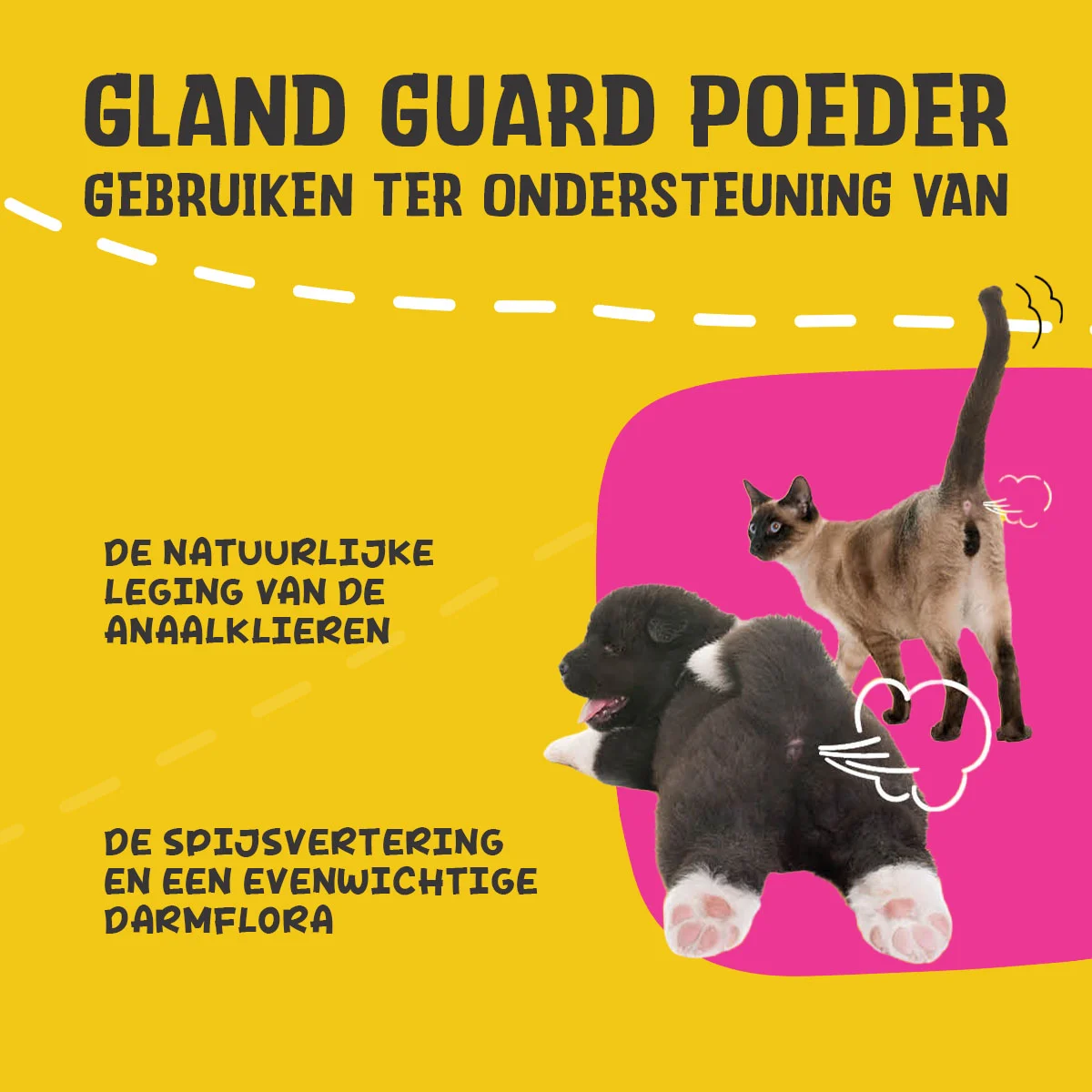 Ergänzungspulver für Hunde und Katzen mit Präbiotika und Probiotika – Excellent Pets Gland Guard Pulver – Bild 3