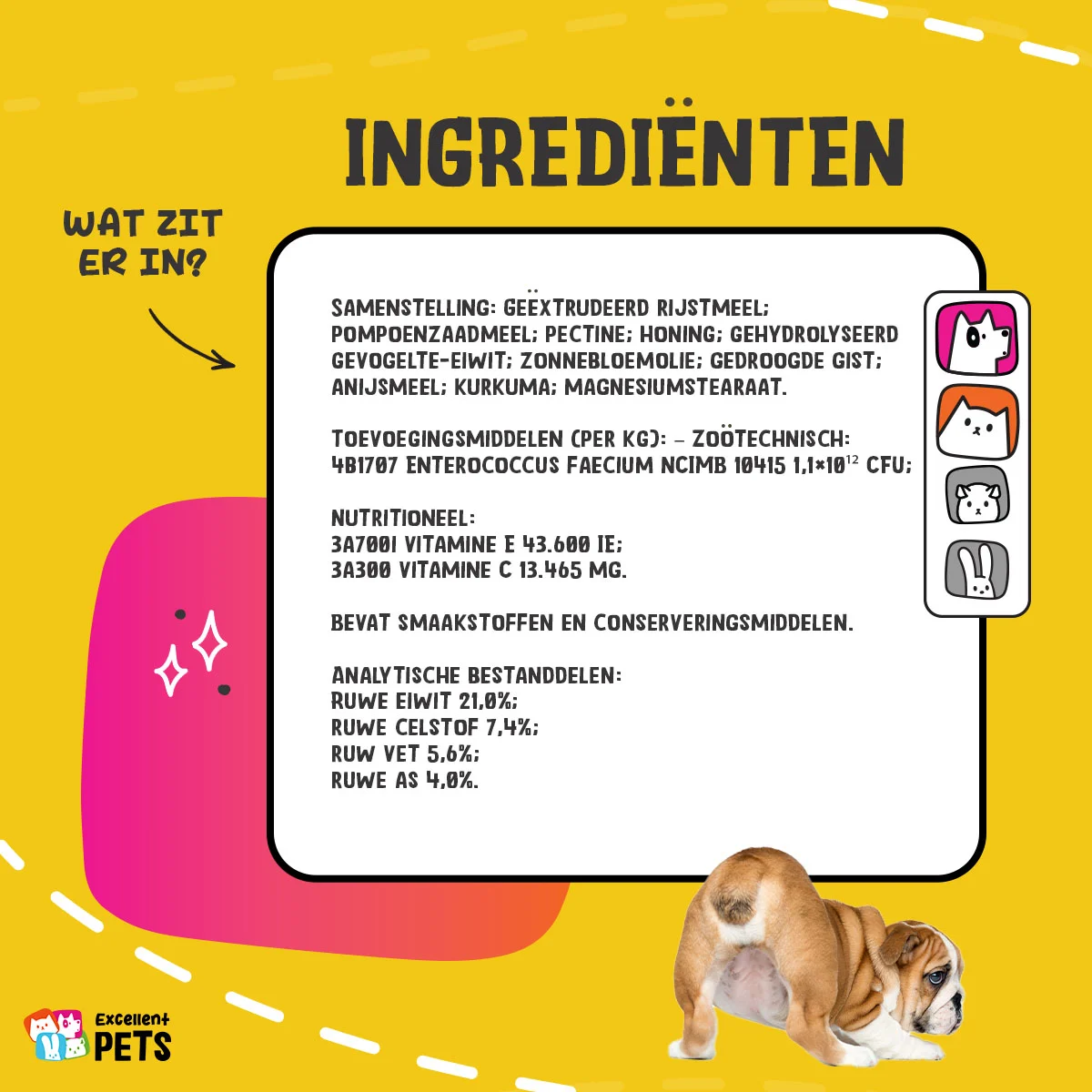 Ergänzungspulver für Hunde und Katzen mit Präbiotika und Probiotika – Excellent Pets Gland Guard Pulver – Bild 5