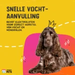 Verdauungspaste für Haustiere mit Elektrolyten, 30 ml – Excellent Pets Digestive Support – Bild 5