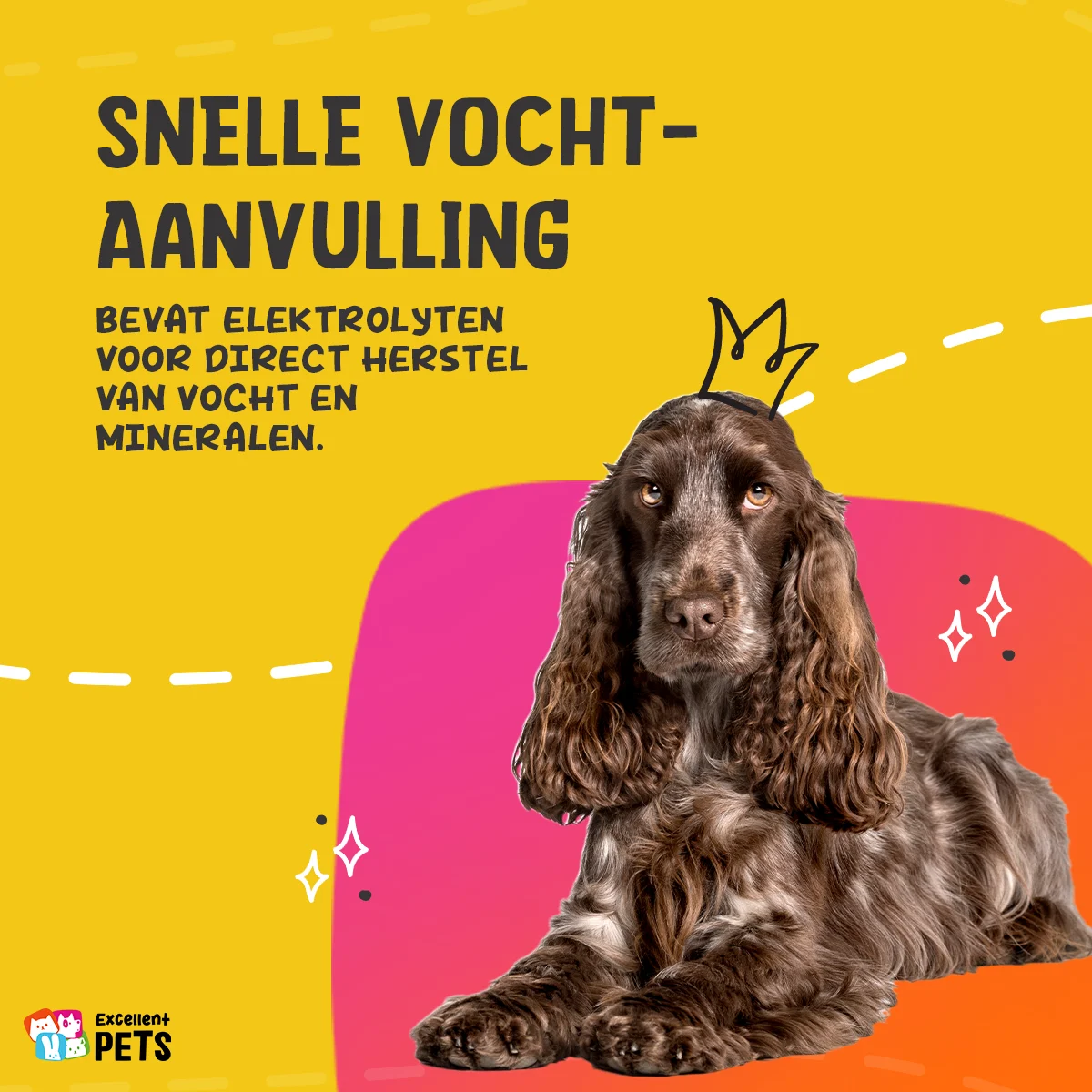 Verdauungspaste für Haustiere mit Elektrolyten, 30 ml – Excellent Pets Digestive Support – Bild 5