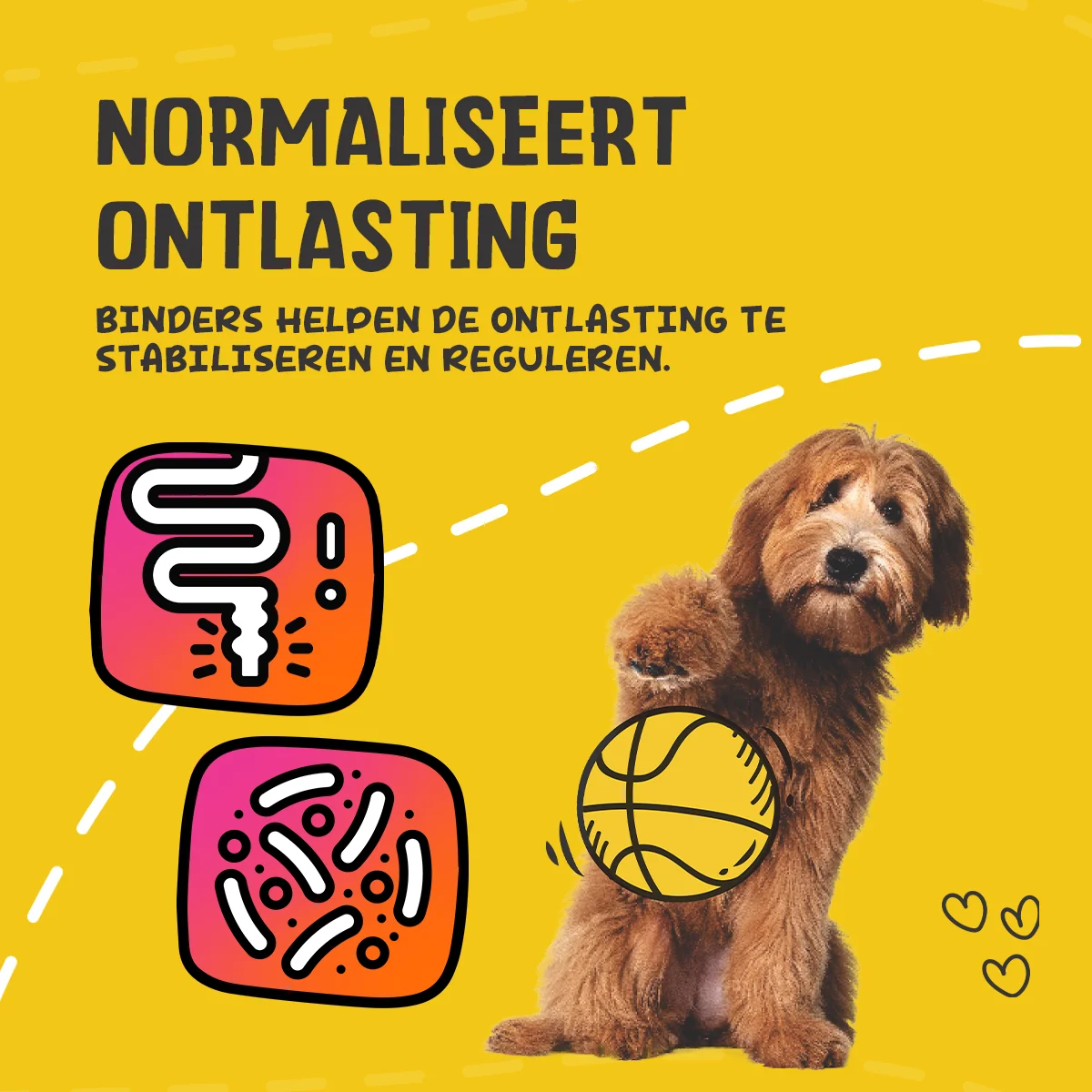 Verdauungspaste für Haustiere mit Elektrolyten, 30 ml – Excellent Pets Digestive Support – Bild 6