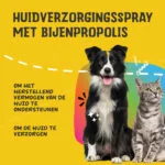 Hautpflegespray mit Propolis, 50 ml – Excellent Pets Propolis Spray – Bild 2